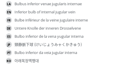 Translations