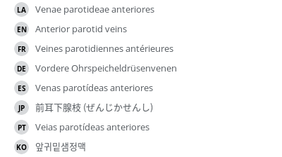 Translations