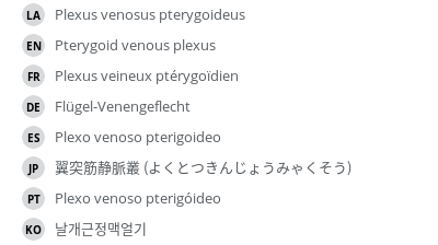 Translations
