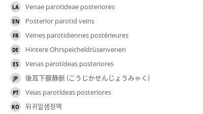 Translations