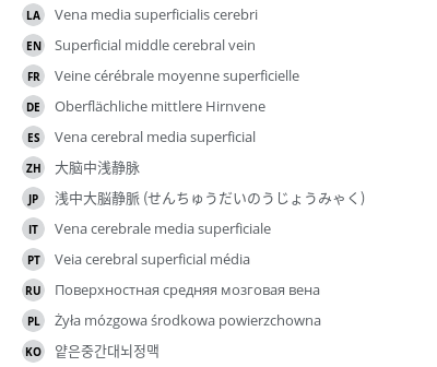 Translations