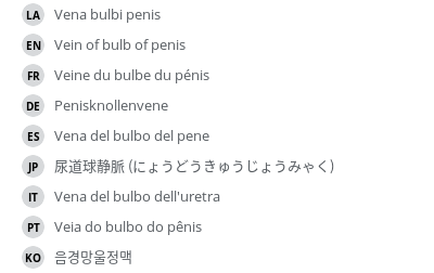 Translations