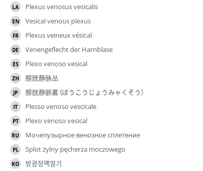 Translations