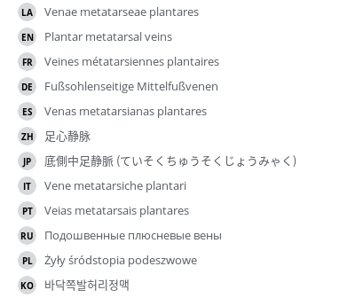 Translations