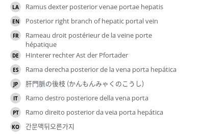 Translations