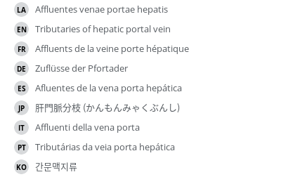 Translations