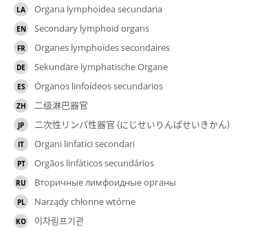 Translations
