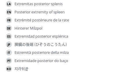 Translations