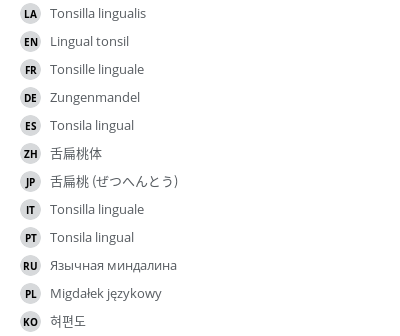 Translations