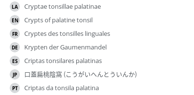 Translations