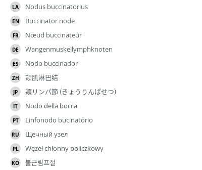 Translations