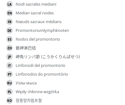 Translations