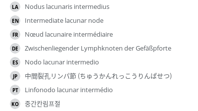 Translations