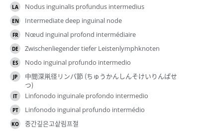 Translations