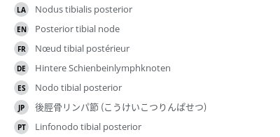 Translations