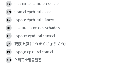 Translations