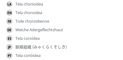Translations