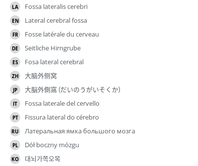 Translations