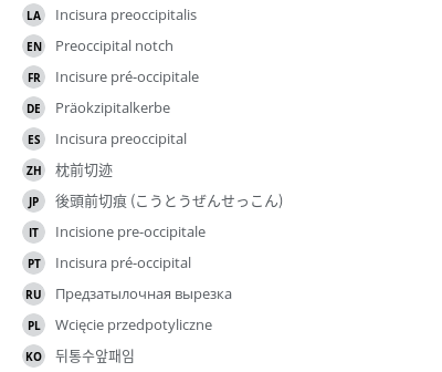 Translations