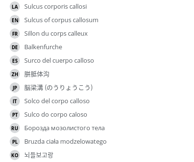 Translations