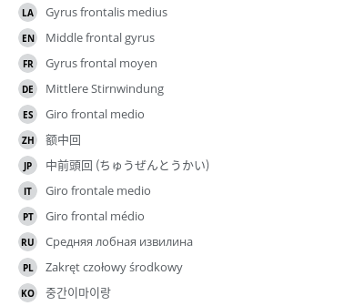 Translations