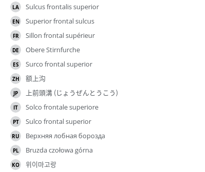 Translations