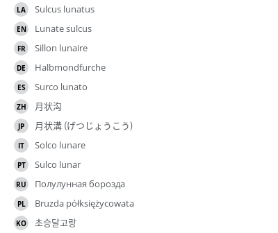 Translations