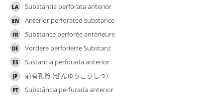 Translations