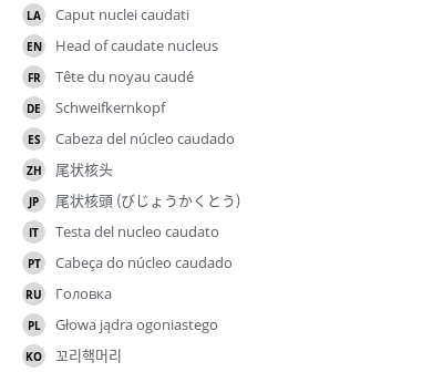 Translations