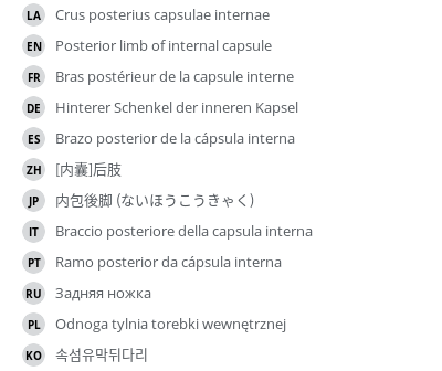 Translations