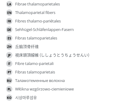 Translations