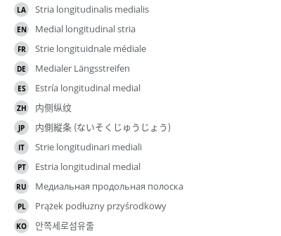 Translations