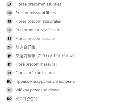 Translations