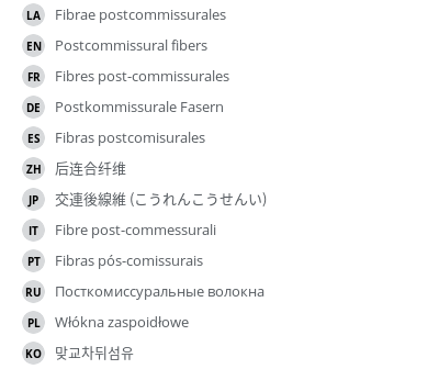 Translations