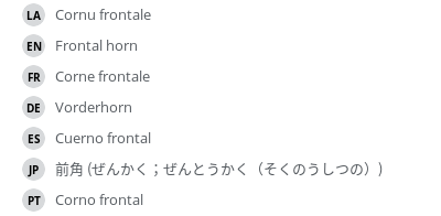 Translations