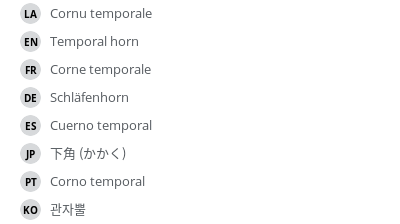 Translations