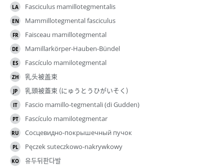 Translations