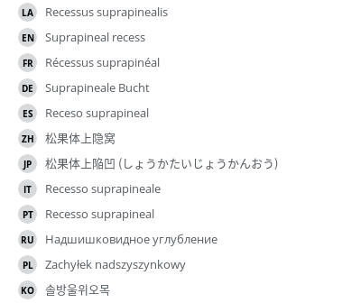 Translations