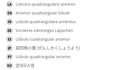 Translations