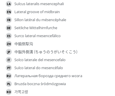 Translations