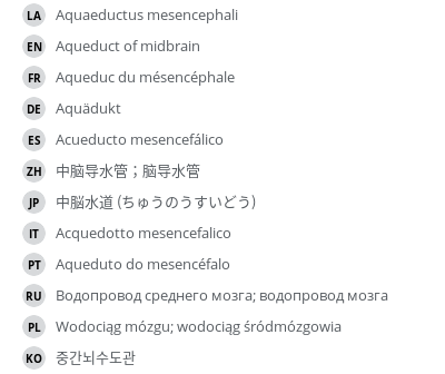 Translations