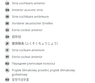 Translations