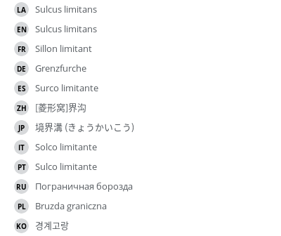 Translations