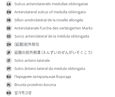 Translations