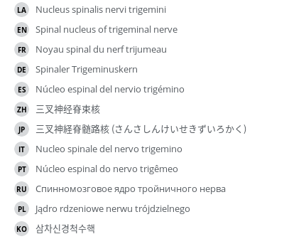Translations