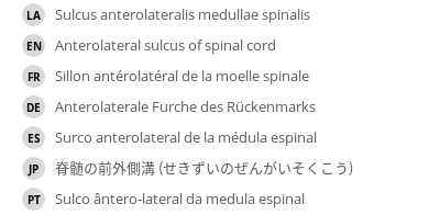 Translations