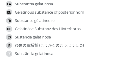 Translations