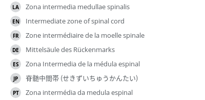 Translations