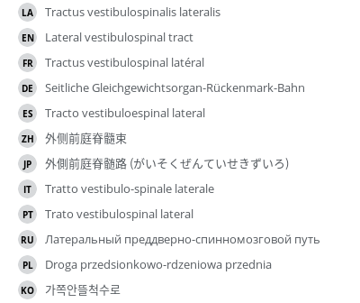 Translations