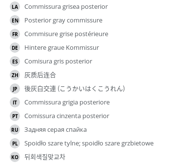 Translations